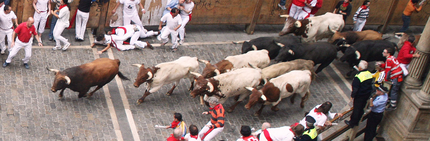 Encierro Pamplona, Spain - Running of the bulls - San Fermin 2015 on Make a  GIF